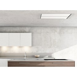 Campana Pando E-231